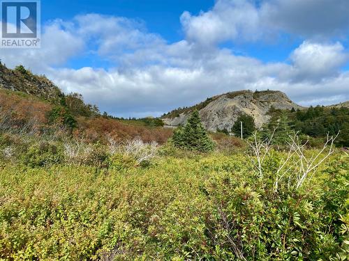 6-8 Old Road N, Salmon Cove, NL 