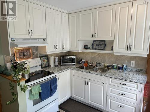 32 Adelaide Avenue, Halifax, NS - Indoor Photo Showing Kitchen With Double Sink