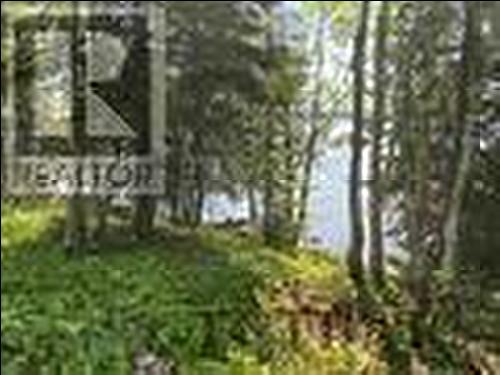 25522 A St. Anthony Lake Road, Larder Lake, ON - Outdoor