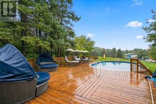 14336 Caledon King Townline S, Caledon, ON - Outdoor With Above Ground Pool With Deck Patio Veranda