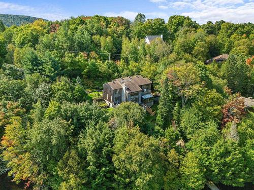 Aerial photo - 171 Av. Nantel, Sainte-Agathe-Des-Monts, QC - Outdoor With View