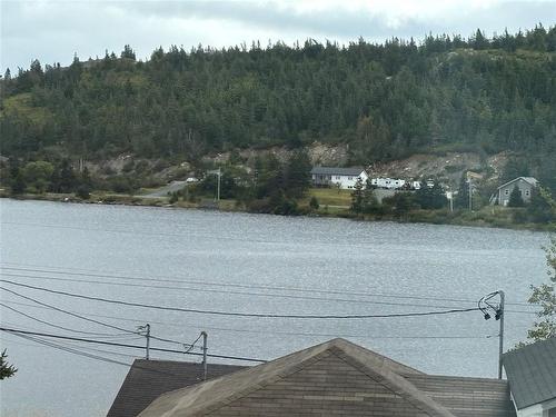 106 Back Track Road, Spaniards Bay, NL 