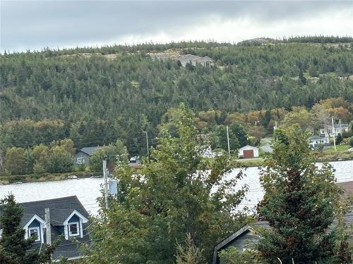 106 Back Track Road, Spaniards Bay, NL 