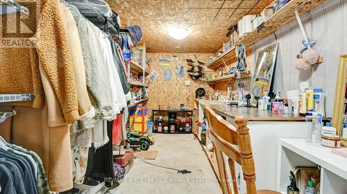 21 Elizabeth Street, Halton Hills, ON - Indoor With Storage