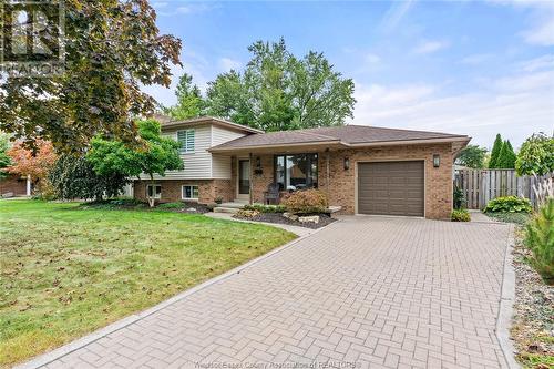 308 Dossenbach Drive, Lasalle, ON - Outdoor