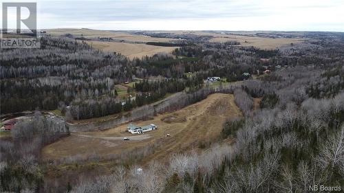 118 Mill Hill Road, New Denmark, NB - Outdoor With View