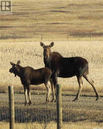 Boon Acreage, Gravelbourg Rm No. 104, SK - Outdoor With View