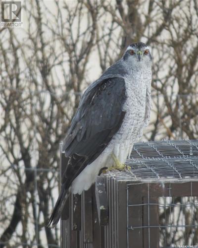 Boon Acreage, Gravelbourg Rm No. 104, SK - Outdoor