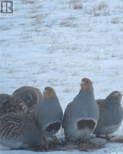 Boon Acreage, Gravelbourg Rm No. 104, SK - Outdoor With View