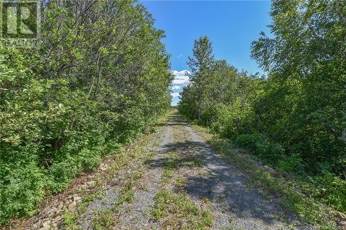 Lot Boul St-Pierre O, Caraquet, NB 