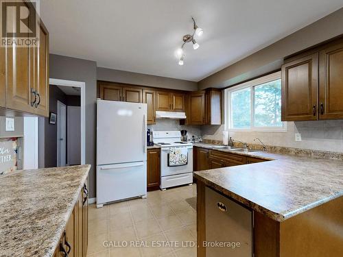 394 Glad Park Avenue, Whitchurch-Stouffville, ON - Indoor Photo Showing Kitchen With Double Sink