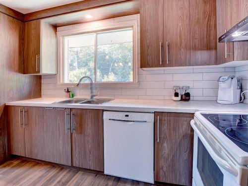 Cuisine - 130 Rue Bruno, Saint-Jean-De-Matha, QC - Indoor Photo Showing Kitchen With Double Sink