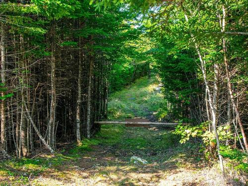 No Highway 7, Head Of Jeddore, NS 