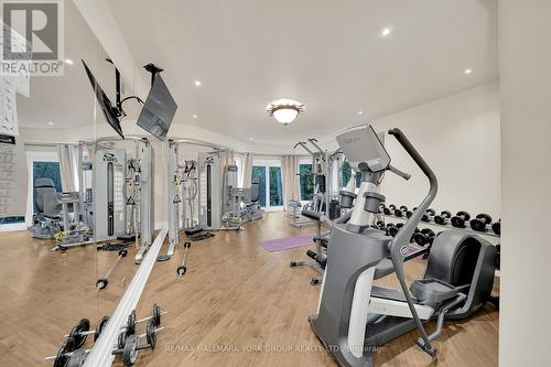 24 Dew Drop Court, Vaughan, ON - Indoor Photo Showing Gym Room