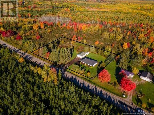 260 Salem Road, Havelock, NB - Outdoor With View