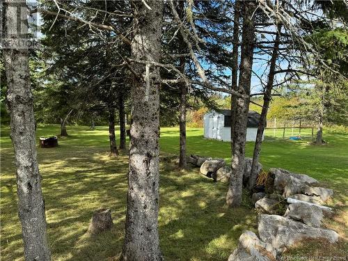 260 Salem Road, Havelock, NB - Outdoor With View