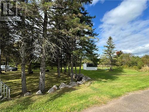 260 Salem Road, Havelock, NB - Outdoor With View