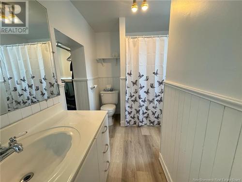 7 Mgr. Roy Street, Saint-Quentin, NB - Indoor Photo Showing Bathroom