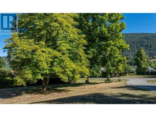 1031 7Th  N Avenue, Creston, BC - Outdoor With View