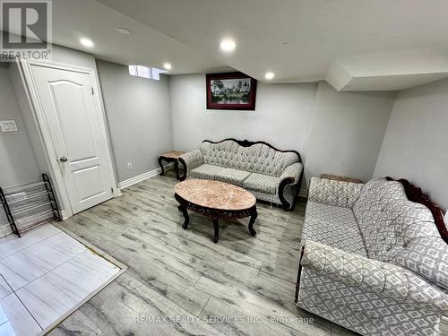 Bsmt - 203 Sussexvale Drive, Brampton, ON - Indoor Photo Showing Basement