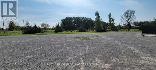 20261 Loyalist Parkway, Prince Edward County (Ameliasburgh), ON 