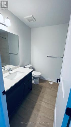 75 - 55 Tom Brown Drive, Brant, ON - Indoor Photo Showing Bathroom