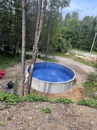 Pool - 321 Ch. Scotch, Grenville-Sur-La-Rouge, QC - Outdoor With Above Ground Pool