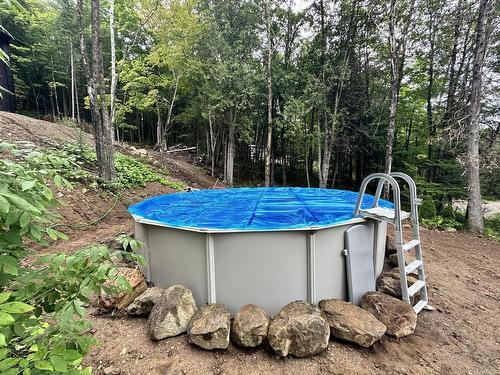 Pool - 321 Ch. Scotch, Grenville-Sur-La-Rouge, QC - Outdoor With Above Ground Pool