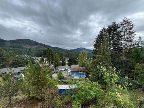 547 Mallard Way, Gold River, BC 