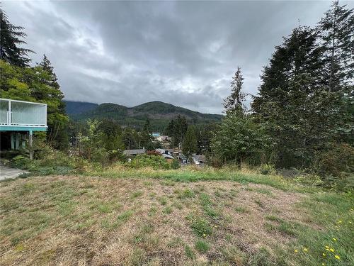 547 Mallard Way, Gold River, BC 