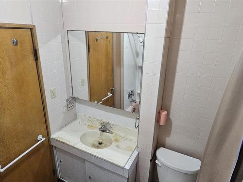 354 Mckellar Street N, Thunder Bay, ON - Indoor Photo Showing Bathroom