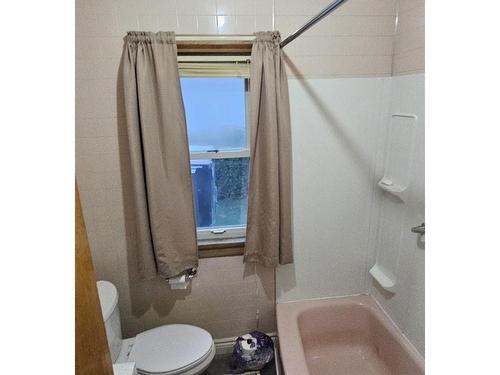 354 Mckellar Street N, Thunder Bay, ON - Indoor Photo Showing Bathroom