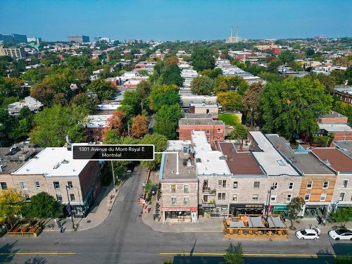 Overall view - 1001 Av. Du Mont-Royal E., Montréal (Le Plateau-Mont-Royal), QC - Outdoor With View