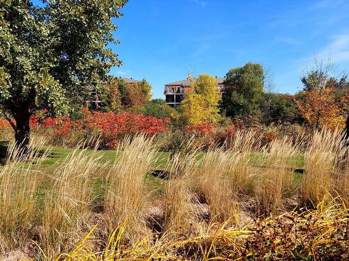 Wooded area - 302-451 Rue Jacques-Lavigne, Sainte-Thérèse, QC - Outdoor With View