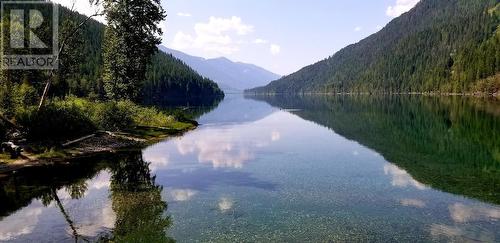 Lot 19 Sawczuk Road, Trout Lake, BC 