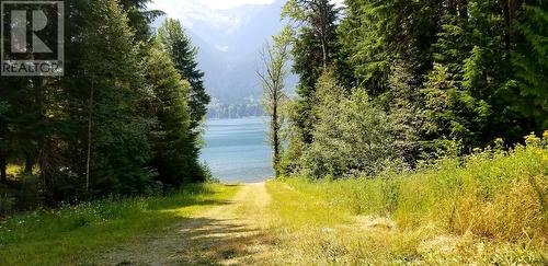 Lot 19 Sawczuk Road, Trout Lake, BC 