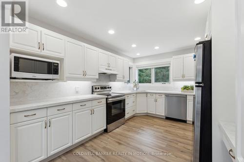 504 Birch Point Road, Kawartha Lakes, ON - Indoor Photo Showing Kitchen