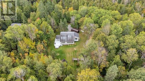 504 Birch Point Road, Kawartha Lakes, ON - Outdoor With View