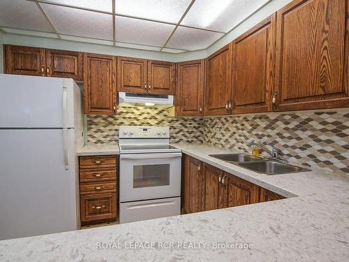 304-166 Olive St, East Gwillimbury, ON - Indoor Photo Showing Kitchen With Double Sink