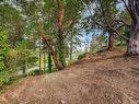 299 Gull Rd, View Royal, BC 