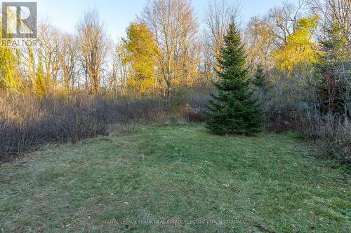 66 Auburn Street, Peterborough (Ashburnham), ON - Outdoor With View