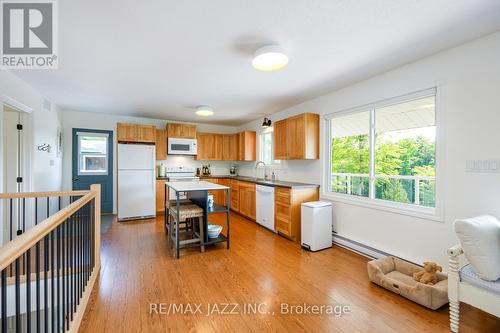 41 Fire Route 54C, Havelock-Belmont-Methuen, ON - Indoor Photo Showing Kitchen