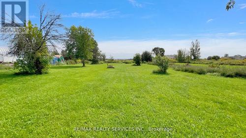 7811 Highway 89, Adjala-Tosorontio, ON - Outdoor With View