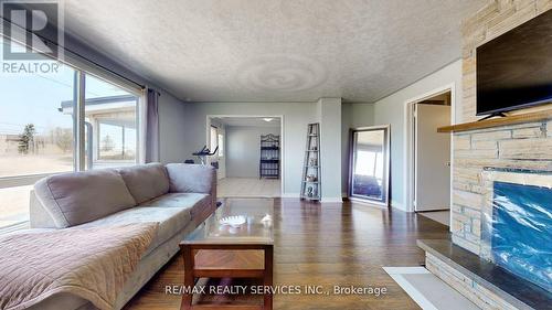 7811 Highway 89, Adjala-Tosorontio, ON - Indoor Photo Showing Living Room With Fireplace