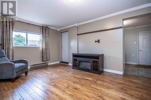 41 Chaytors Road, Cbs, NL - Indoor Photo Showing Living Room With Fireplace