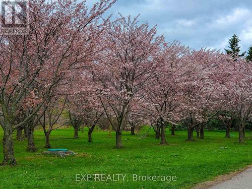 811 - 310 Mill Street S, Brampton, ON - Outdoor With View