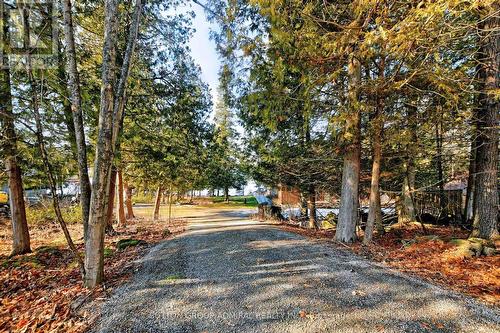 326 Indian Point Road, Kawartha Lakes, ON - Outdoor With View