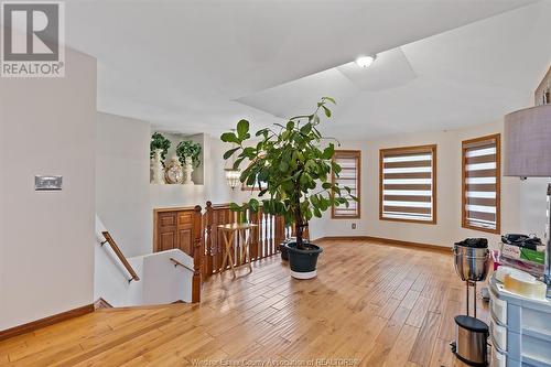 3438 Treeline Court, Windsor, ON - Indoor