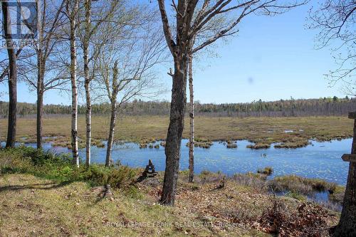 23157 A Highway 62, Limerick, ON - Outdoor With Body Of Water With View