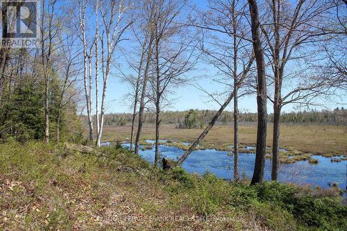 23157 A Highway 62, Limerick, ON - Outdoor With View